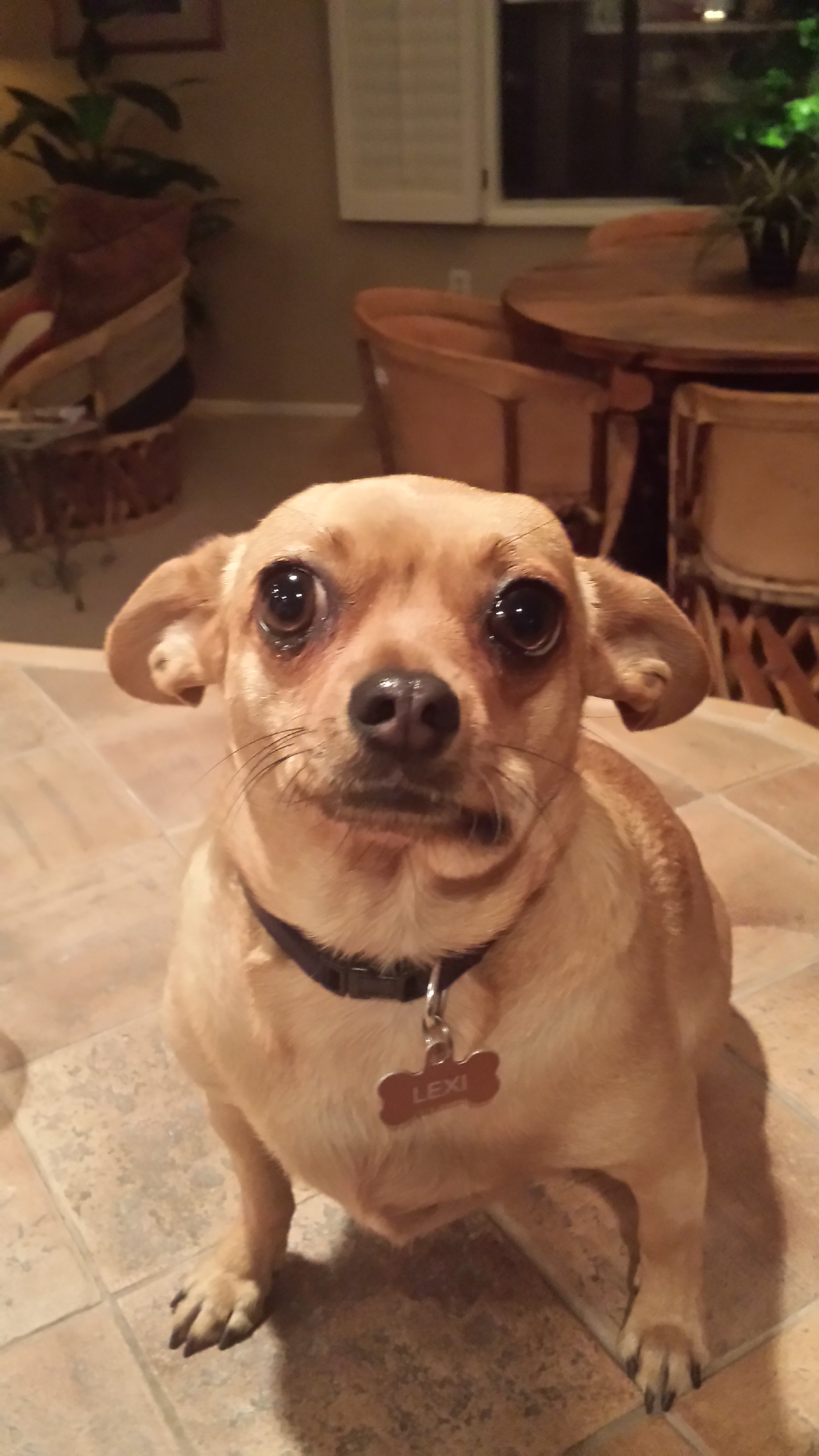20160227_190019.jpg