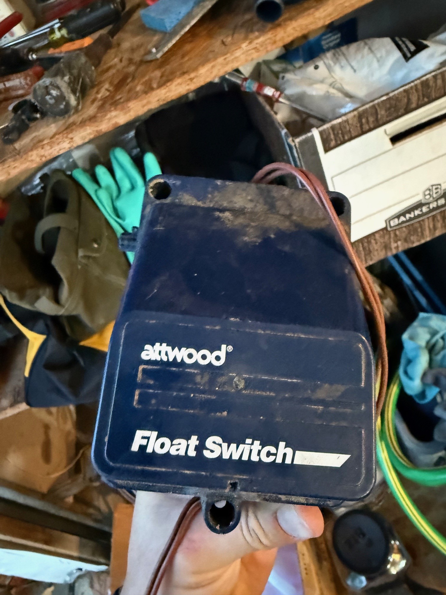 Bilge Pump Automatic Float.jpg
