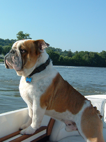 boat mascot 2beee.jpg