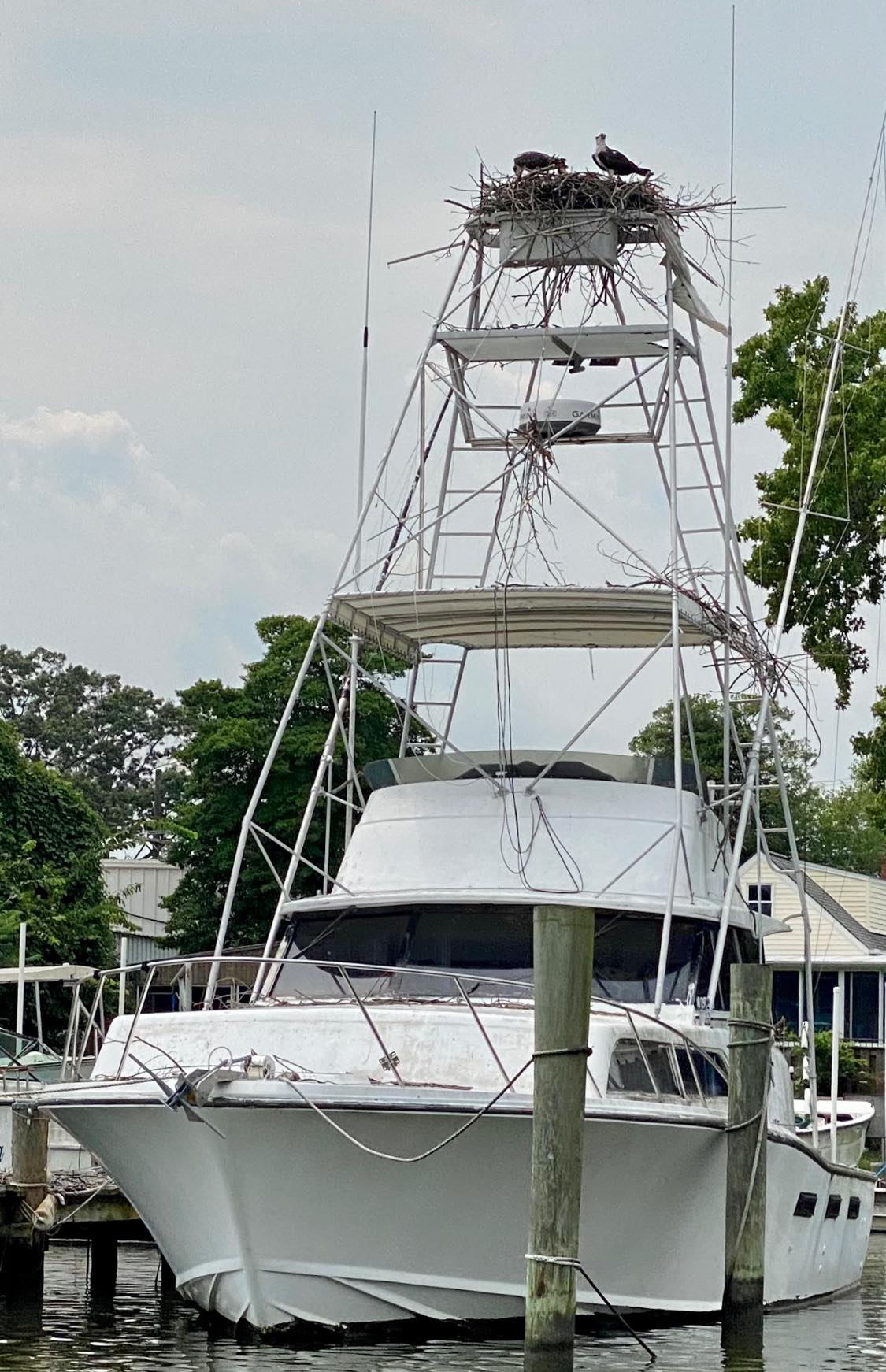 Boating13.jpg