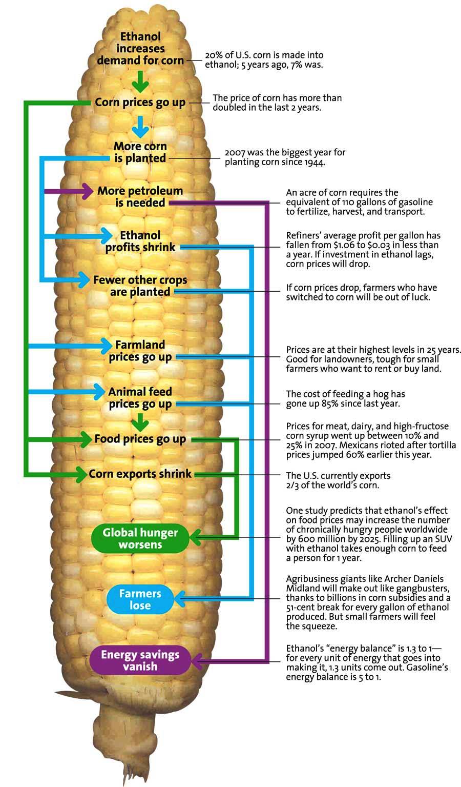 ethanol-effect.jpg