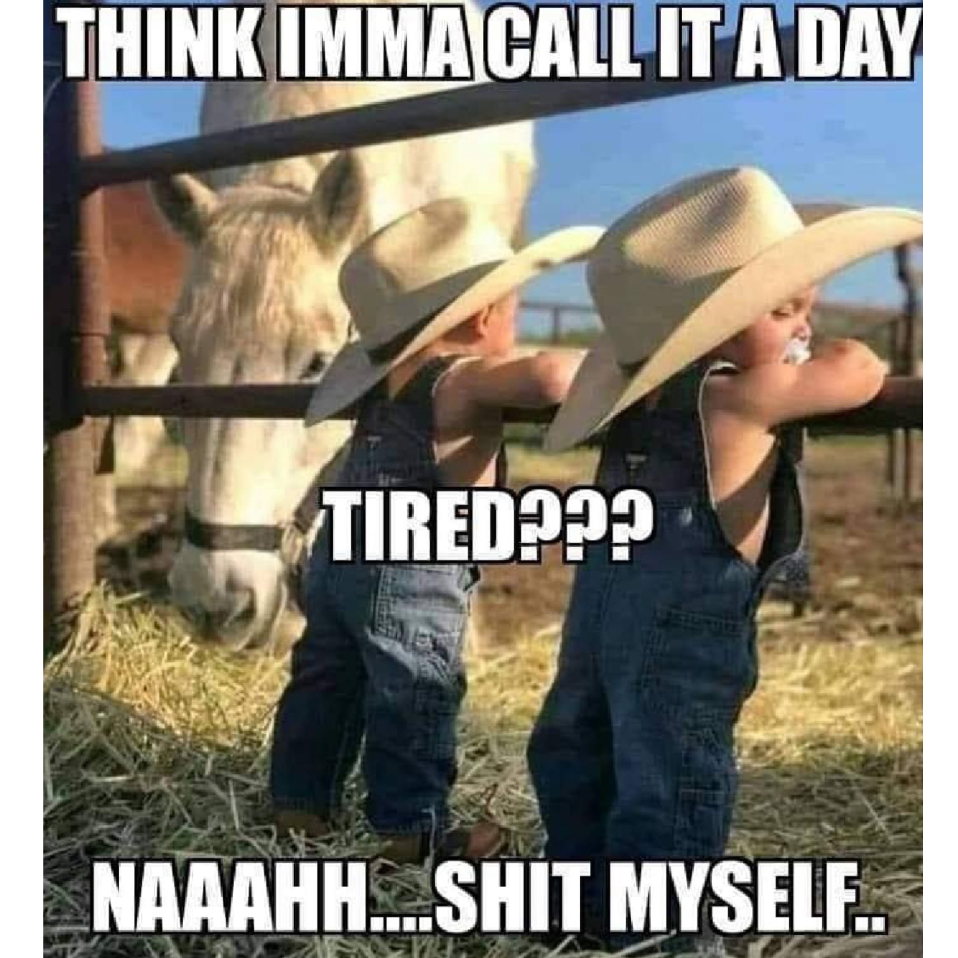 Funny64.jpeg