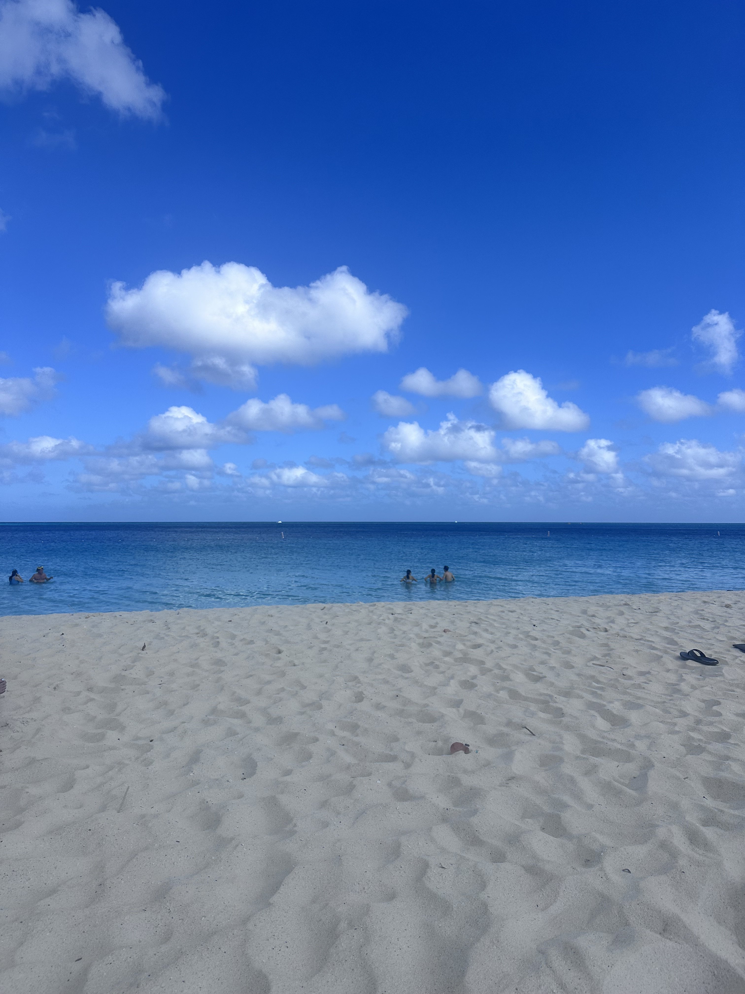 IMG_2138.jpeg