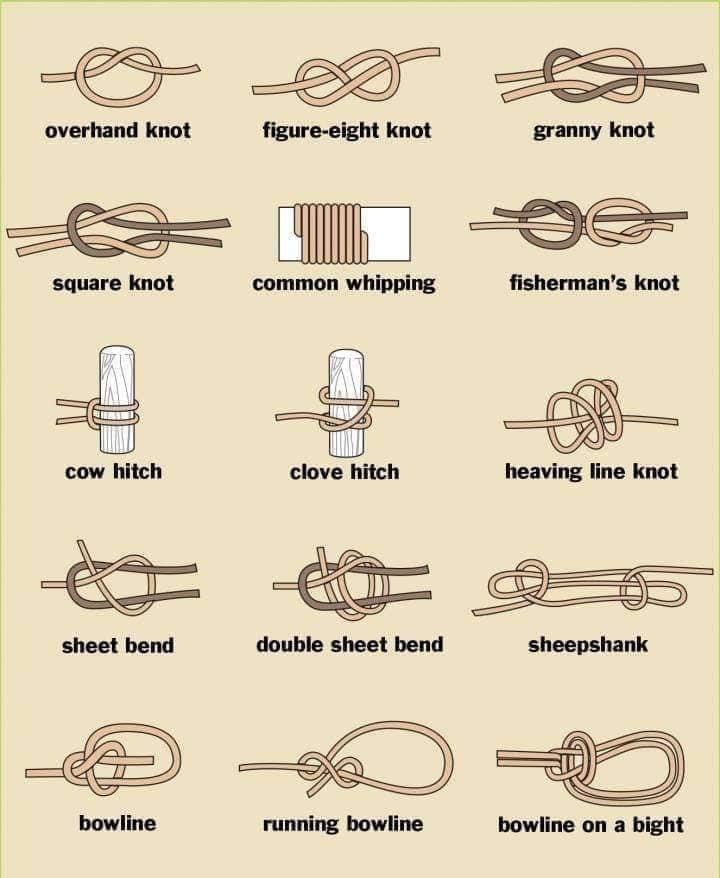 knots.jpeg