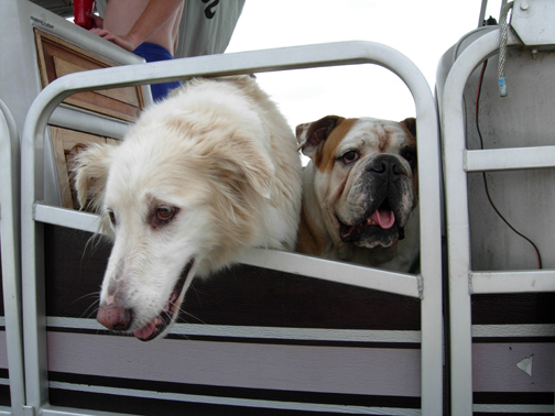 marsh and chunk.jpg