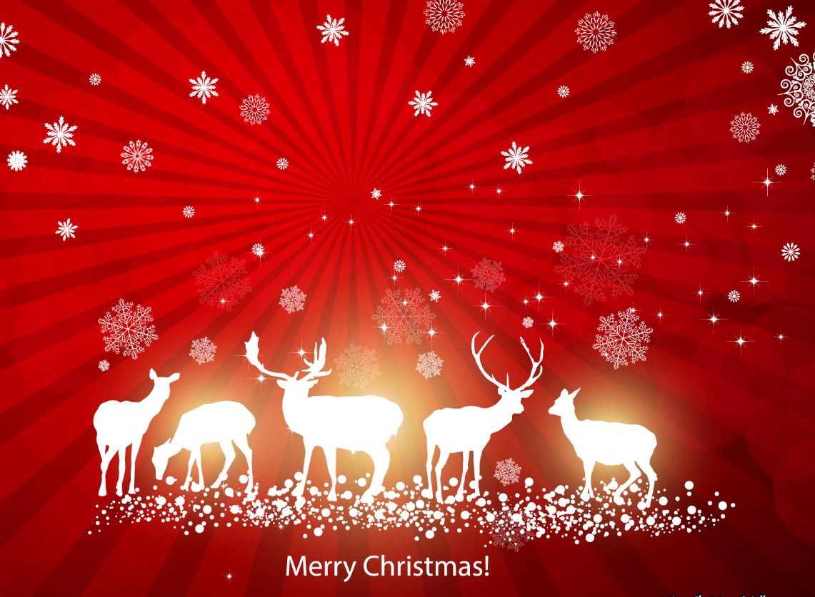 MerryChristmas2.JPG