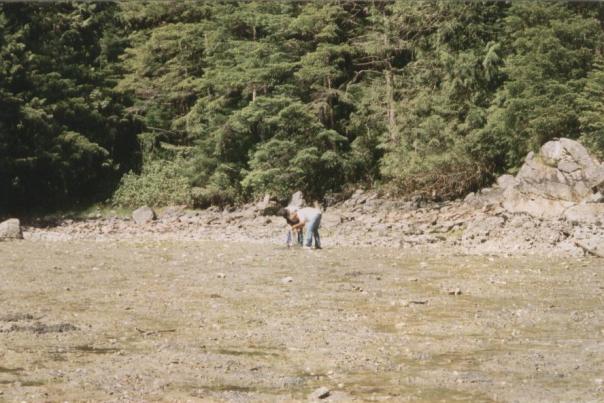 PNW 005.jpg