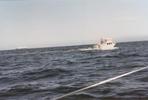 PNW 007.jpg