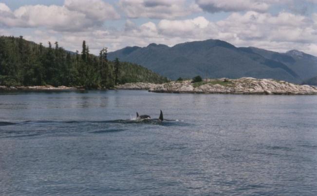 PNW 013.jpg