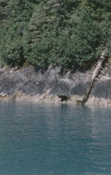PNW 041.jpg