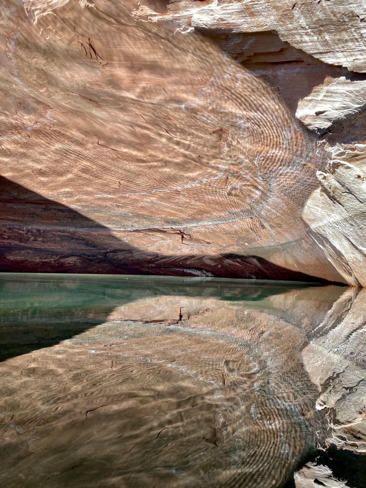 reflection 2.jpg