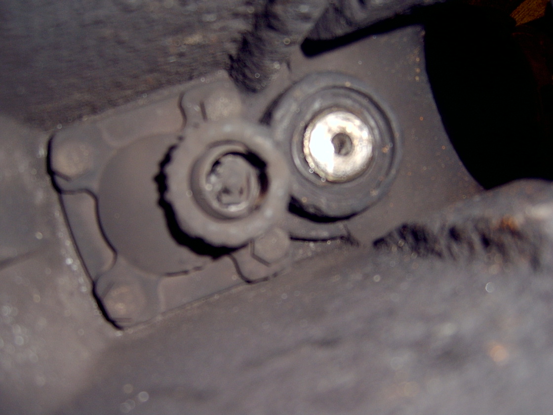 SV400009.JPG
