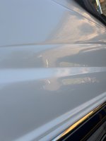 IMG_8787.jpeg