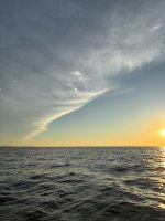 IMG_0010.jpeg