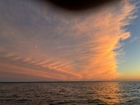 IMG_0011.jpeg